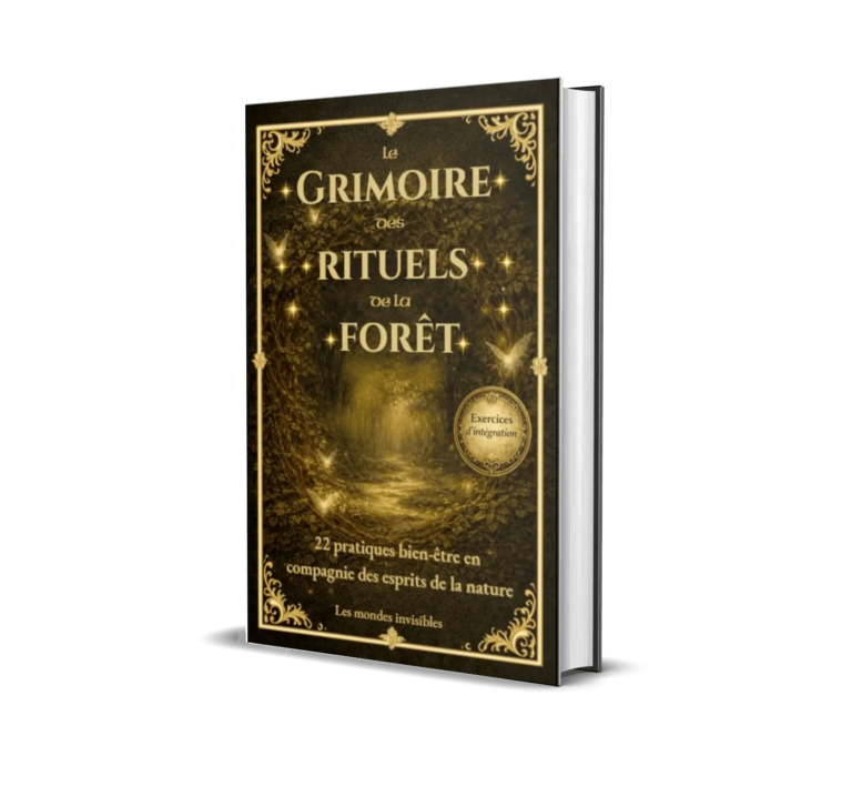 livre broché-le grimoire des rituels de la forêt
