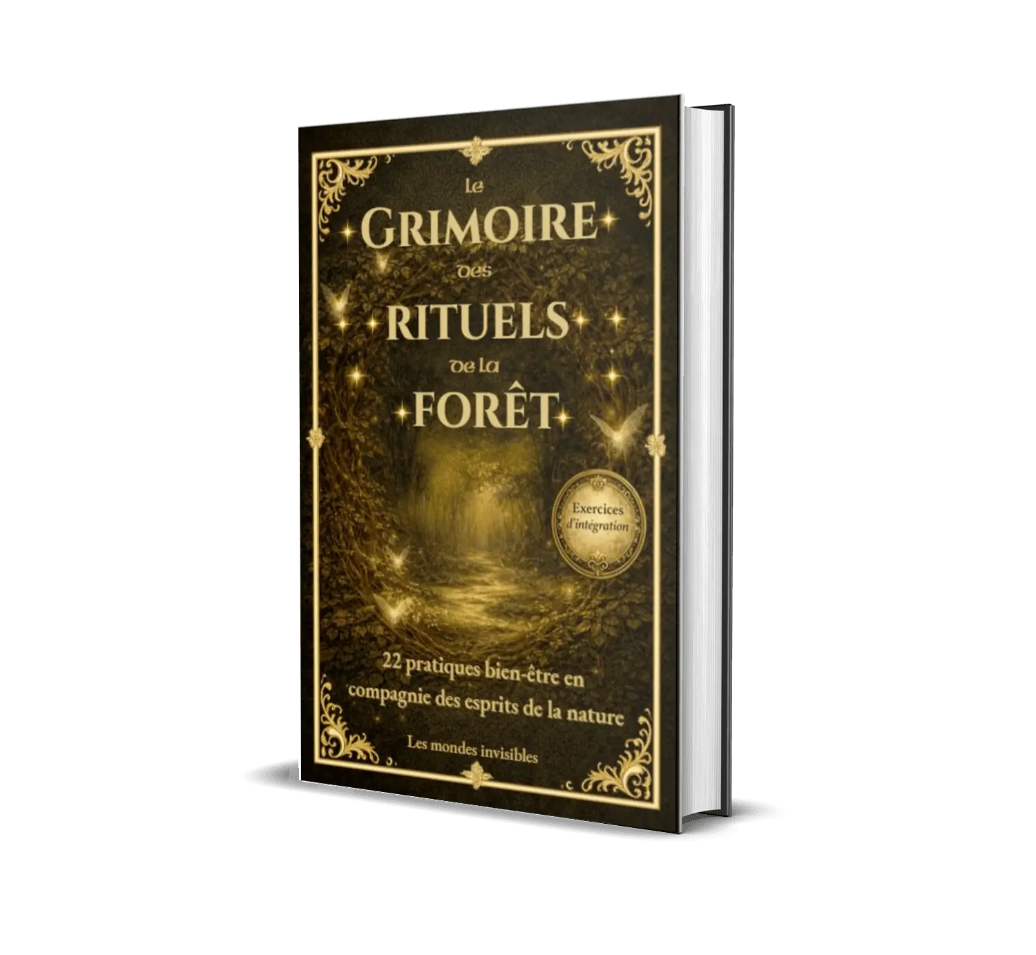 livre broché-le grimoire des rituels de la forêt